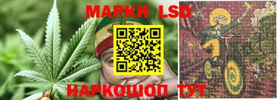 шишки Сланцы